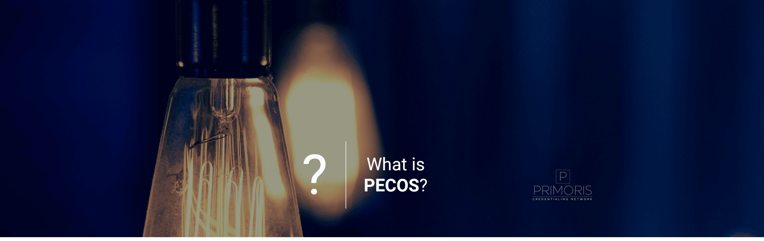 What is PECOS Provider Enrollment Chain Ownership System